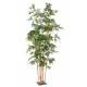 BAMBOO GEANT 400