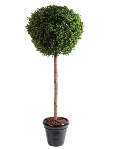 BOJ TALLO ESFERA NEW