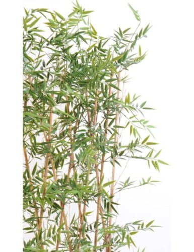 BAMBUS JAPANESE PLAST UV HECKE