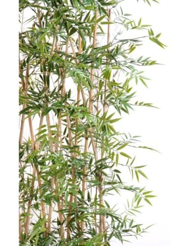 BAMBUS JAPANESE PLAST UV HECKE
