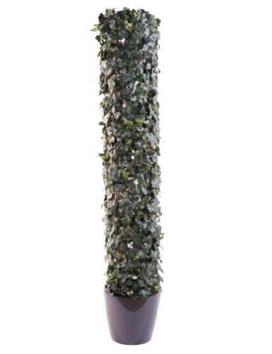 HIEDRA GALA TORRE...