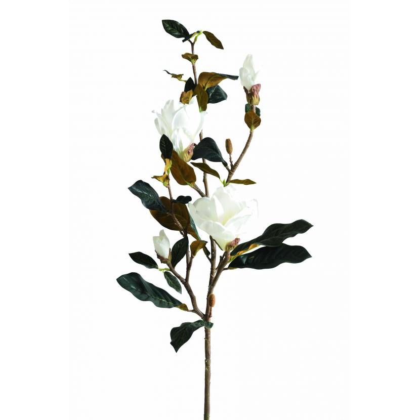 Magnolia artificial