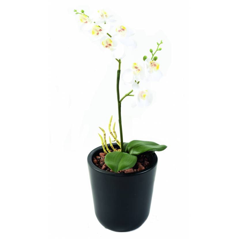 PHALAENOPSIS artificial DOUBLE