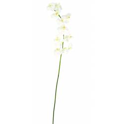 Phalaenopsis artificielle TIGE *10f