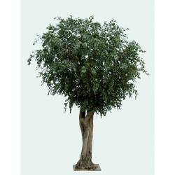 Ficus artificiel GEANT TREE