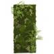 WALL VEGETAL FOUGERE MOUSE