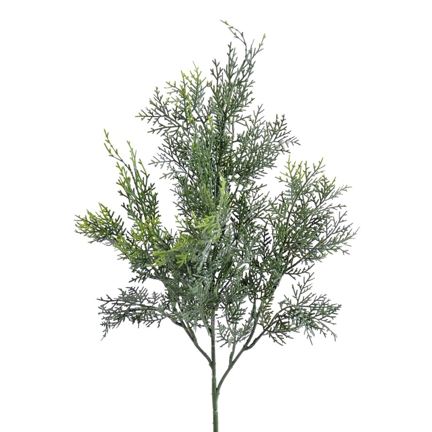 ZYPRESSE LAWSON ZWEIG