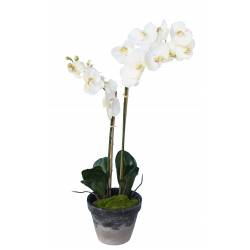 PHALAENOPSIS Artificial POTTED 85 CM