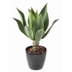 AGAVE Artificial L 