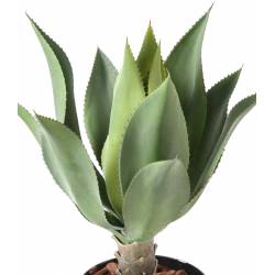 AGAVE Artificial L 