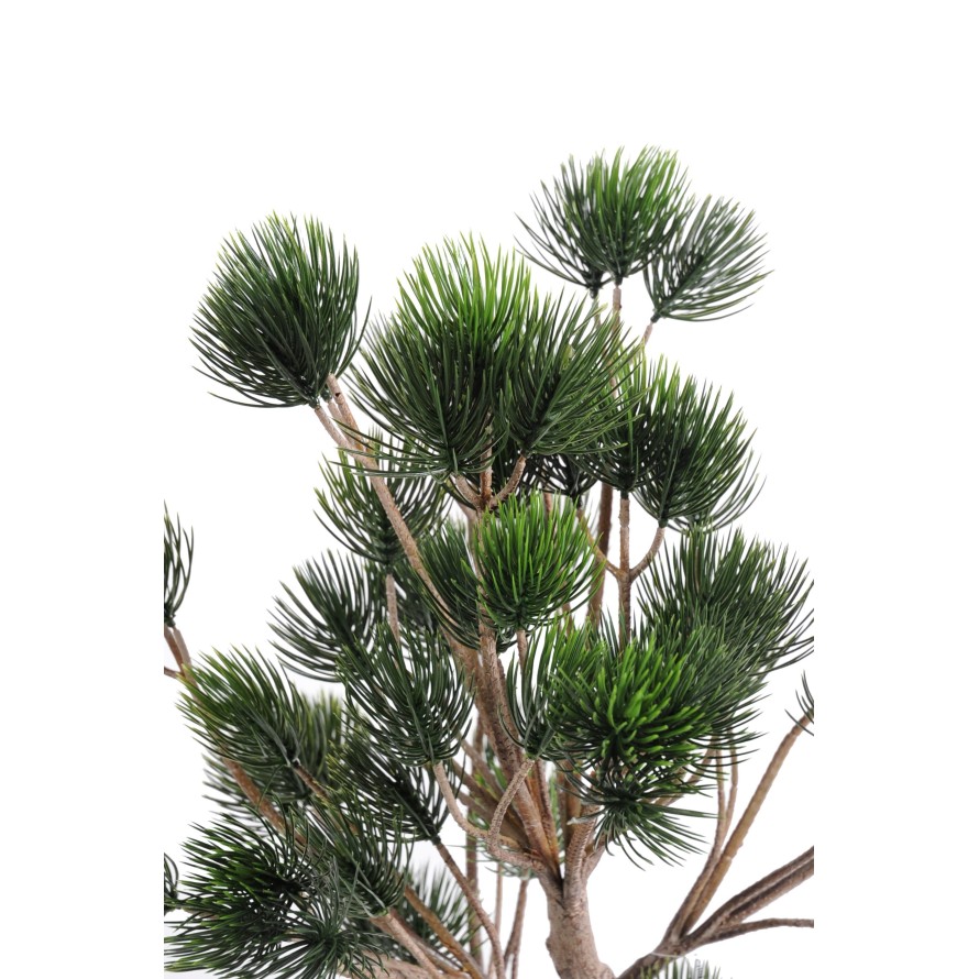 PINO DE GARRIGA PLÁST.