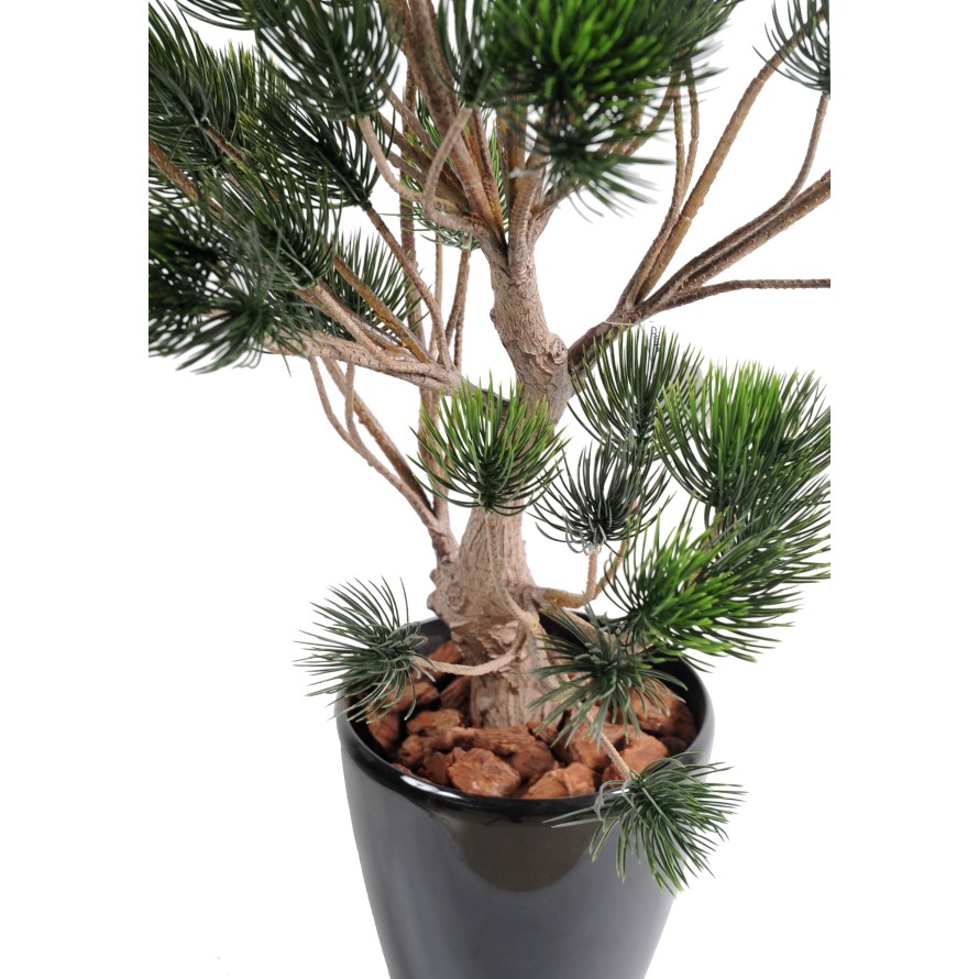 PINO DE GARRIGA PLÁST.