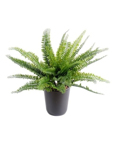 HELECHO BOSTON PLÁST.