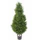BOXWOOD RED DAY TOPIARY 125 UV