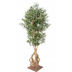 OLIVE TREE Artificial ROOT
