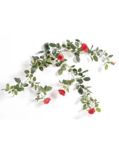 ROSE GIRLANDE ROYALE 140