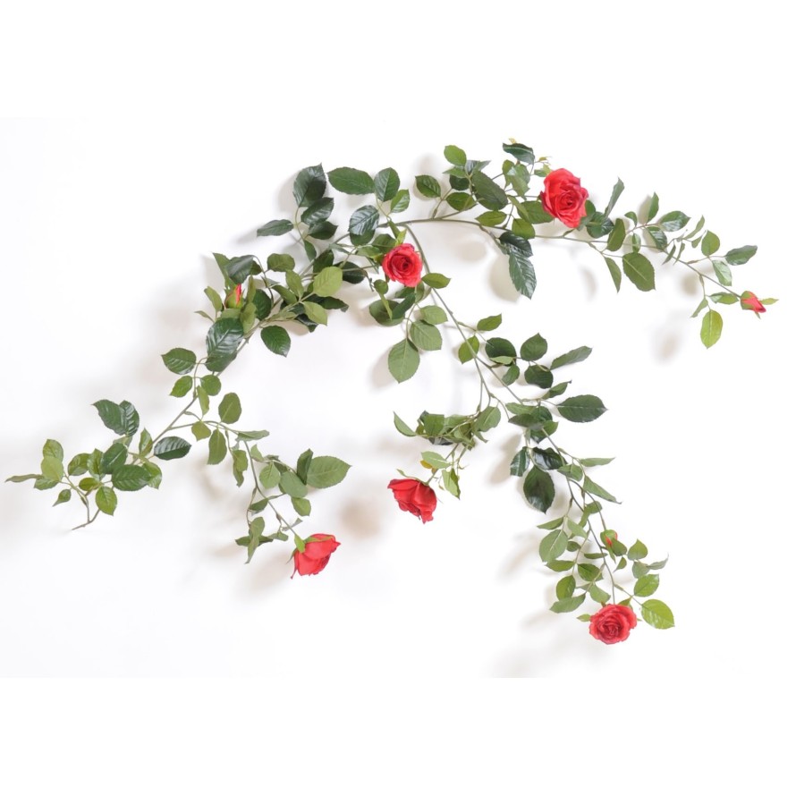 ROSA GUIRNALDA REAL 140