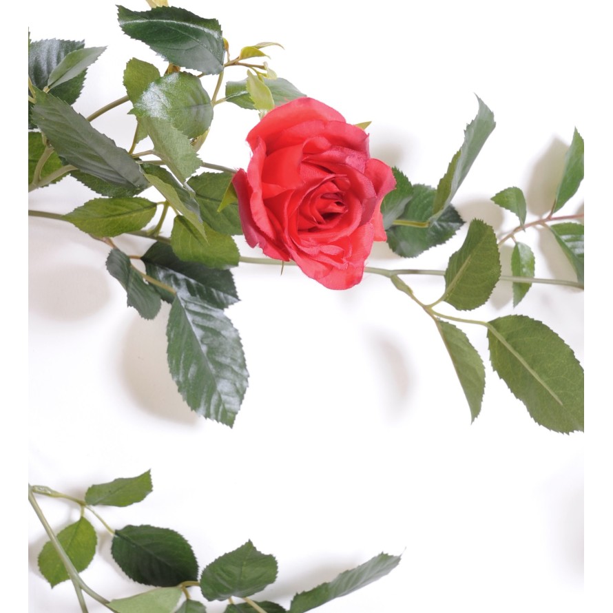 ROSE GIRLANDE ROYALE 140