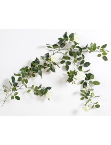 ROSE GIRLANDE ROYALE 140