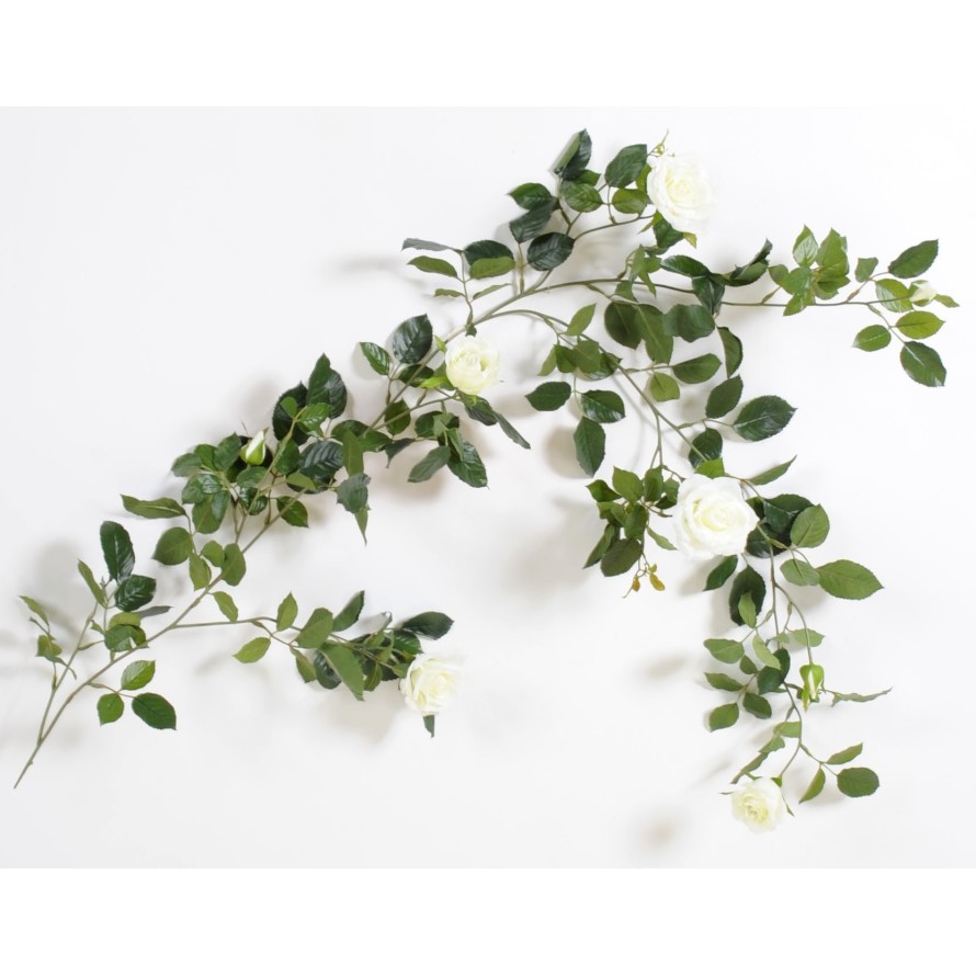 ROSA GUIRNALDA REAL 140