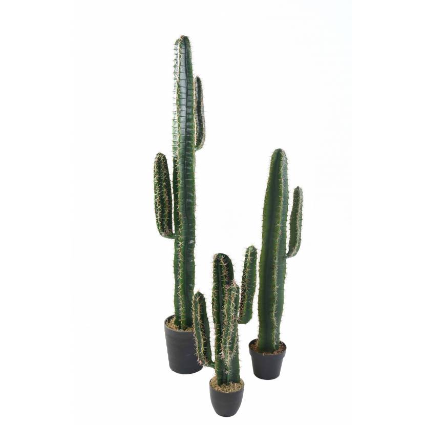 Artificial Cactus CEREUS