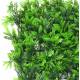 Artificial green wall mini ferns