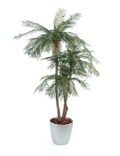 PALMERA NEW 3 TRONCOS EN...