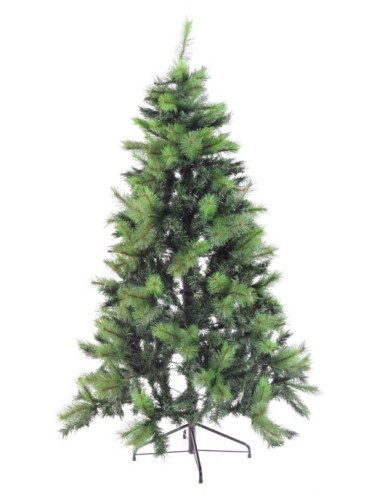 TANNE (Weihnachtsbaum)...