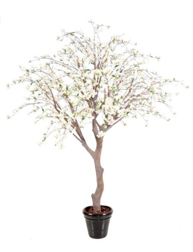 CEREZO EN FLOR NEW LARGE