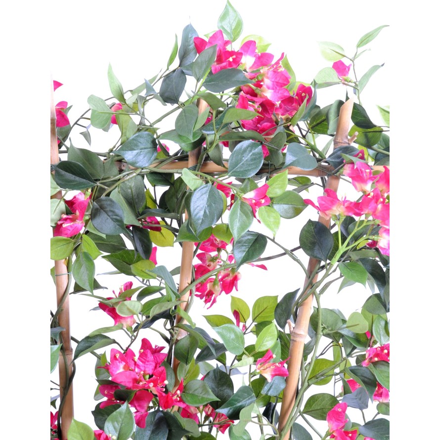 BOUGAINVILLEA (Drillingsblume) NEW SICHTSCHUTZMATTE