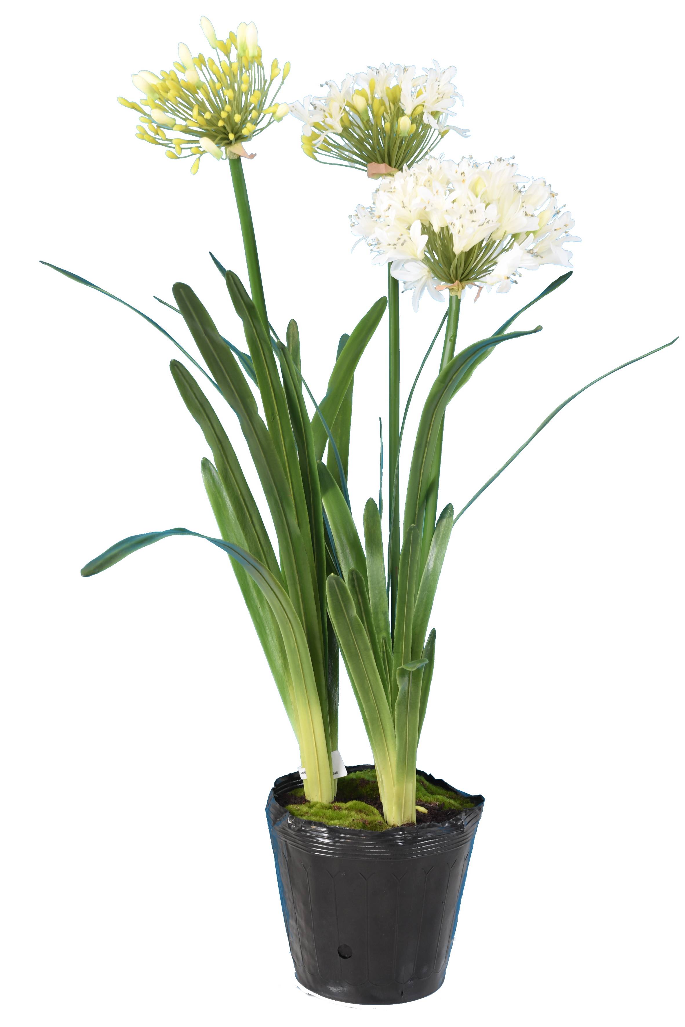 90 cm white artificial agapanthus | Plants flowering | Vert Espace
