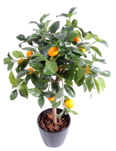 ORANGENBAUM Krone 85 cm...