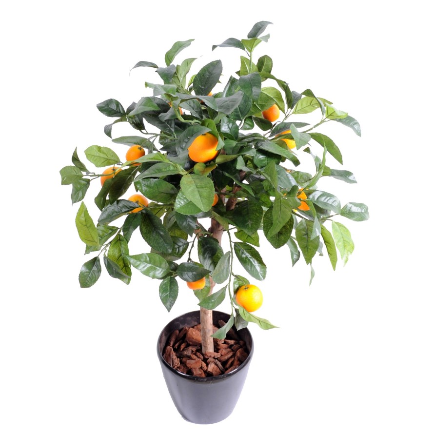 ORANGENBAUM Krone 85 cm DURCHM. 50