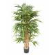 BAMBOU ECO BUISSON 1100