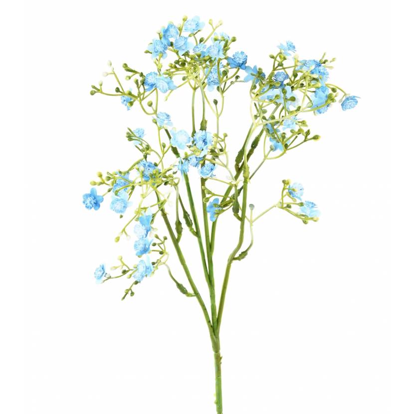 FORGET-ME-NOT MINI