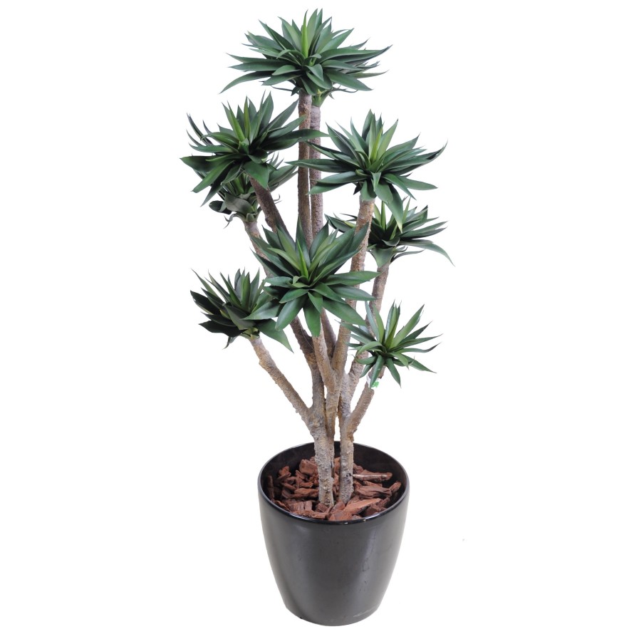 AGAVE *9 105 CM
