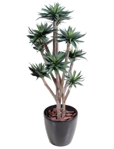 AGAVE *9 105 CM
