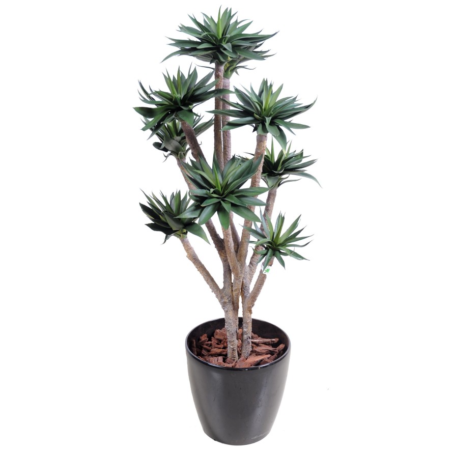 AGAVE *9 105 CM