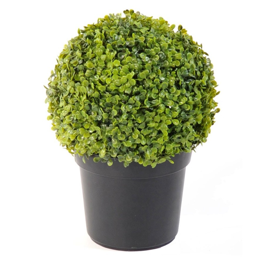 BOXWOOD BALL POT
