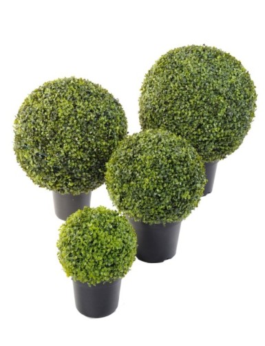 BOJ ESFERA EN MACETA