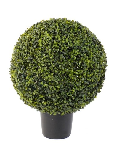 BUCHSBAUM KUGEL TOPF