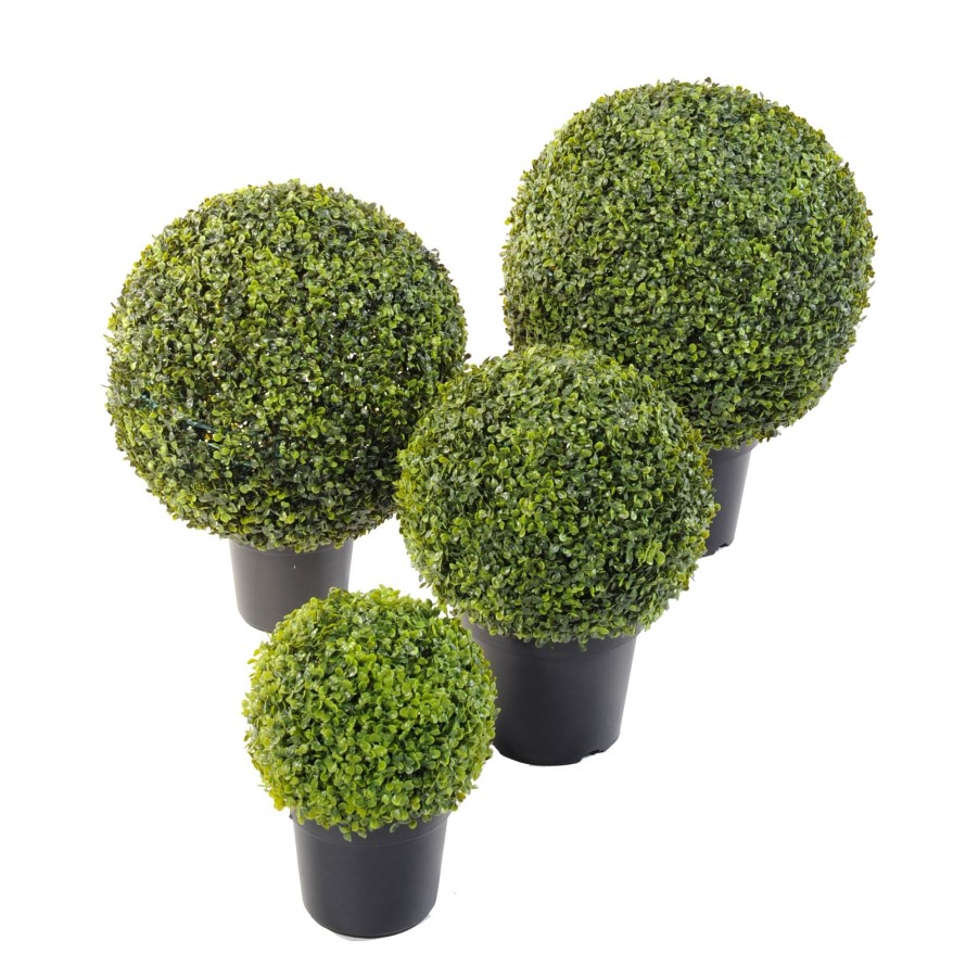 BOXWOOD BALL POT