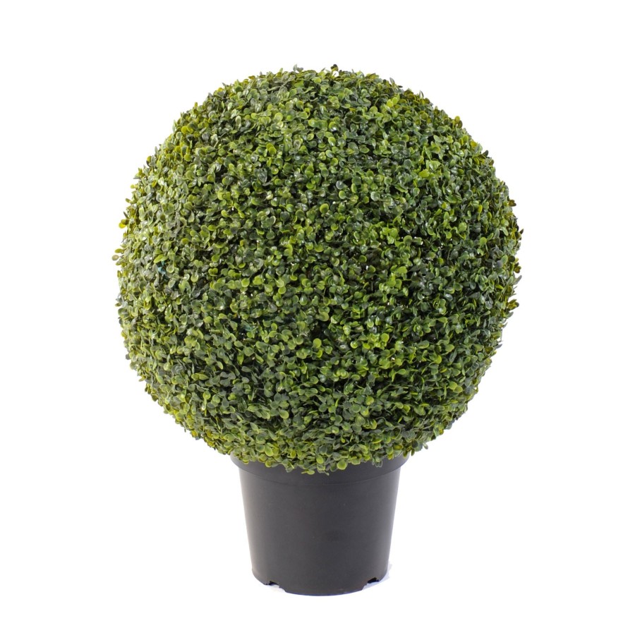 BUCHSBAUM KUGEL TOPF