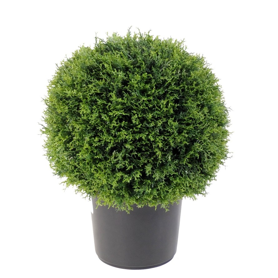 CIPRÉS ESFERA EN MACETA