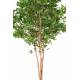 PEDESTAL GRANDIFOLIA TREE 350
