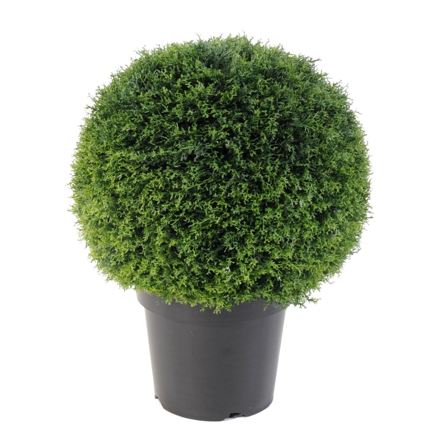 CIPRÉS ESFERA EN MACETA