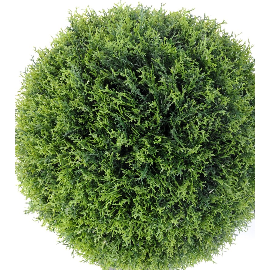 CYPRESS (juniperus vj) BALL POT