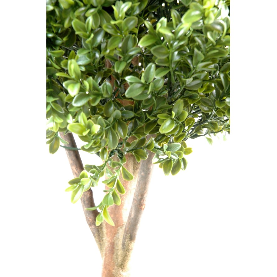 BOJ TALLO DOBLE ESFERA NEW