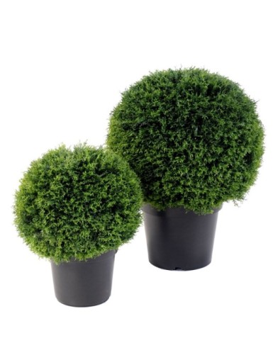CYPRESS (juniperus vj) BALL POT