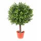Boxwood artificial BALL NEW